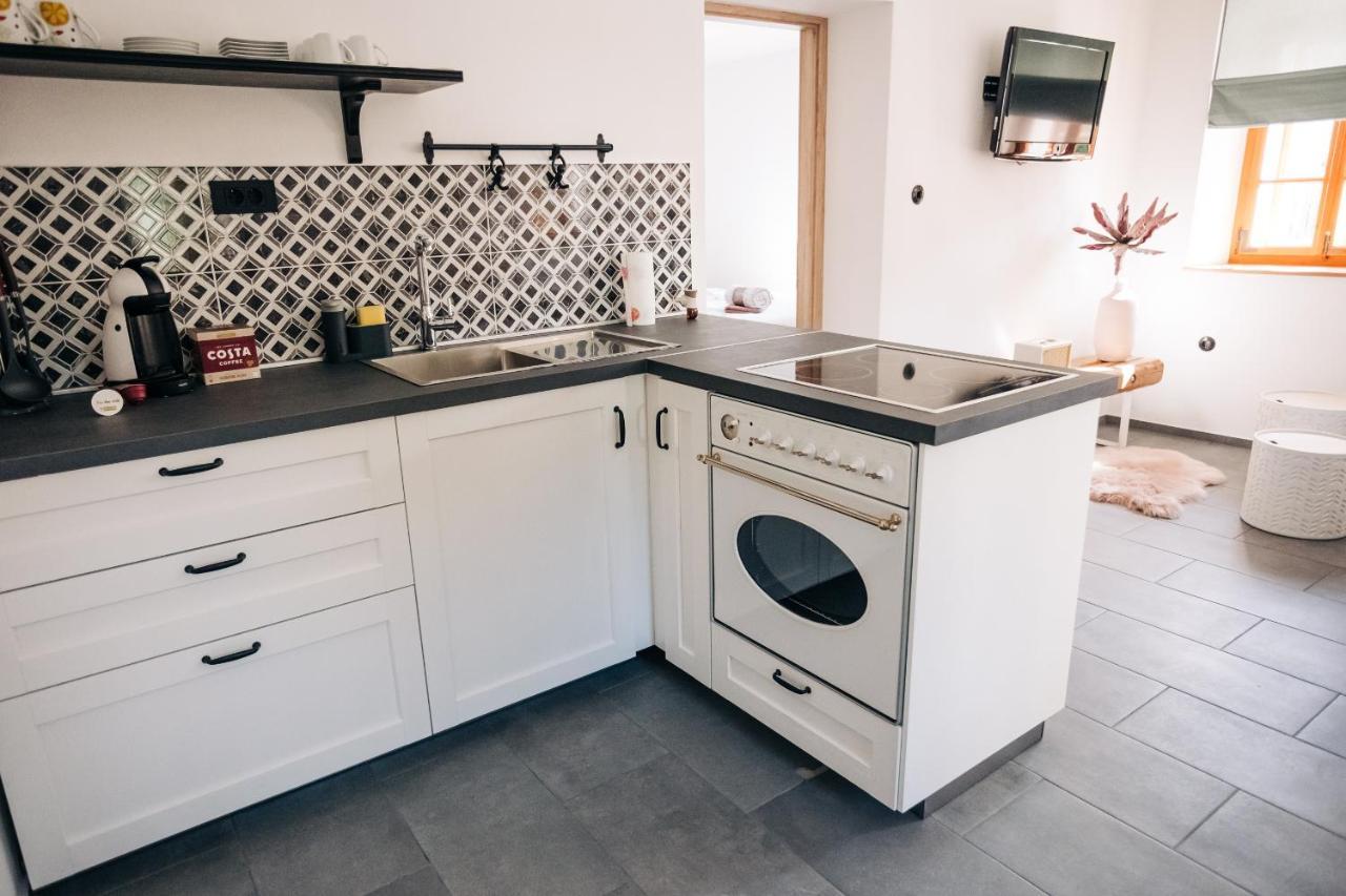 Stekner House Apartma リュブノ エクステリア 写真